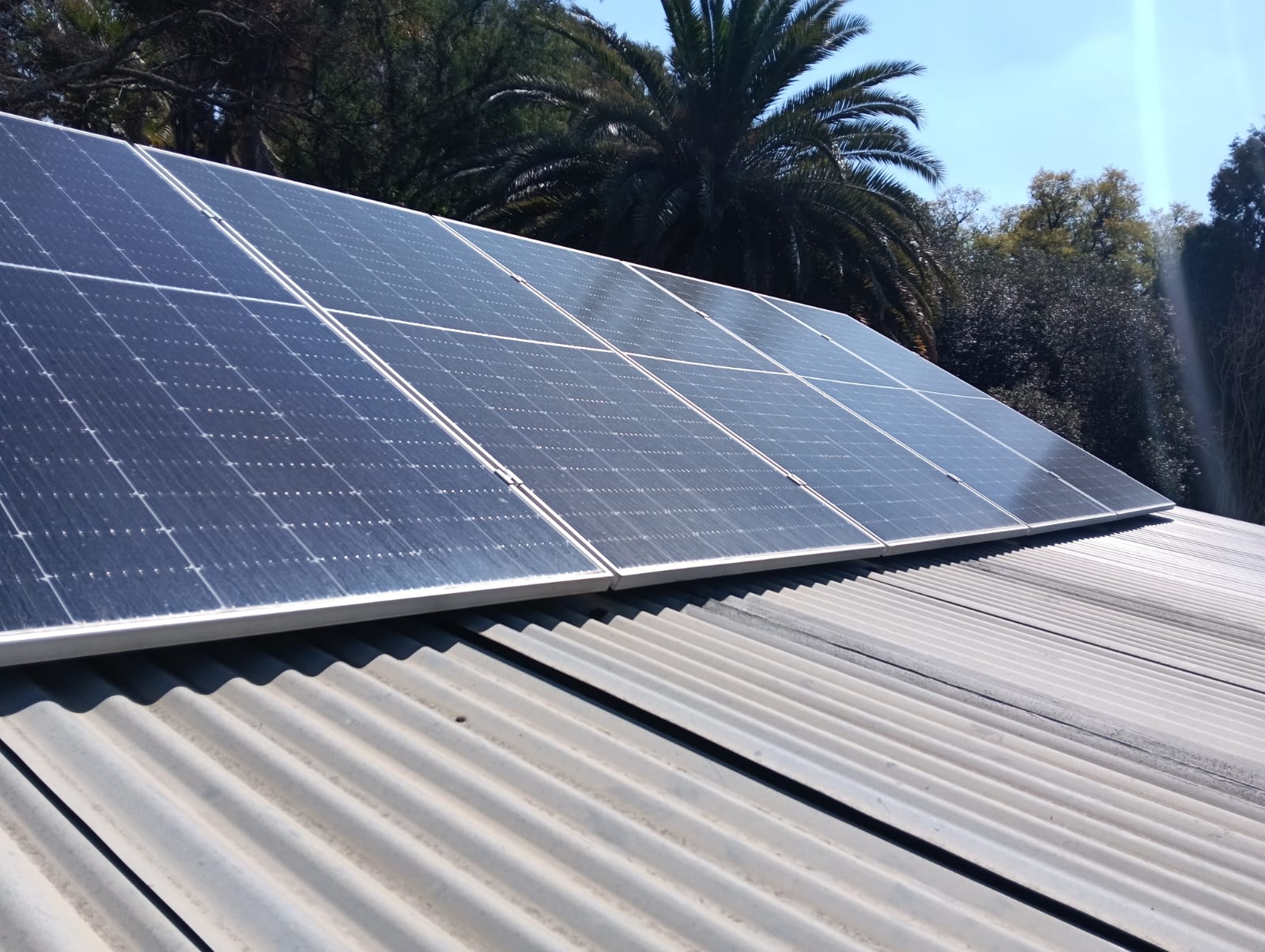 Solar panels mounted on a corrugated roof with palm trees in the background